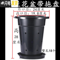 三维工匠塑料加厚加高兰盆带壁孔和不带壁孔款式花盆底自带沥水罩 1号24K兰花盆[10寸]带拖盘 5个[同号]花盆容器