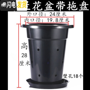 三维工匠塑料加厚加高兰盆带壁孔和不带壁孔款式花盆底自带沥水罩 1号24K兰花盆[10寸]带拖盘 5个[同号]花盆容器