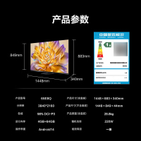 海信(Hisense)65E8Q 65英寸 4+6G 智能电视