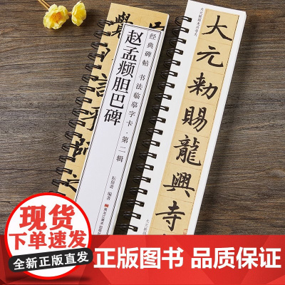 赵孟頫胆巴碑 原帖楷书毛笔书法字帖经典碑帖临摹字卡赵孟俯赵体近距离对临入门附简体旁注