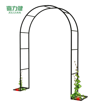 喜力健 铁艺拱门花架 1.2*2.2*0.4M 个
