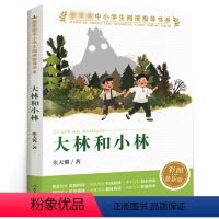 大林和小林 [正版]大林和小林 人教版张天翼著 彩图版中小学生阅读指导书系三四五六年级小学生课外阅读书籍儿童文学读物 人