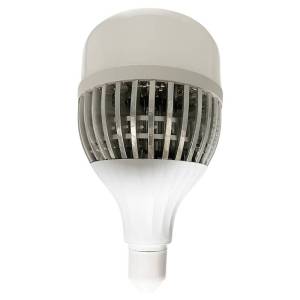 迪利登 LED球泡灯 节能灯 XH18A 台 30W
