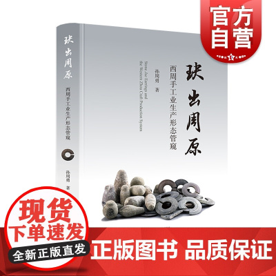 玦出周原西周手工业生产形态管窥孙周勇著作石玦作坊产业链上海古籍出版社礼器文物考古