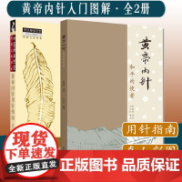 A套装两本 黄帝内针用针指南+黄帝内针和平的使者 黄帝內针入门图解工具书 真人彩图 中医师承学堂同有三和书系 中国中医药