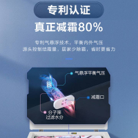 海尔(Haier)200升 家用卧式冰柜 冷柜 小冰箱 减霜80% 一级能效 断电保护 带脚轮BC/BD-200GHDT