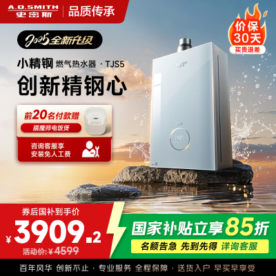 史密斯佳尼特[小精钢TJS5]16升增压零冷水燃气热水器 国家补贴 JSQ31-TJS5 安全守护 持久恒温 新品