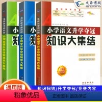 [正版]小学语文升学夺冠知识大集结语文数学英语全套共3本小升初总复习小学毕业升学复习资料考试辅导知识大全知识锦集专项训
