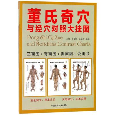 董氏奇穴与经穴(对照大挂图)