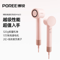 飞科博锐情人节礼物高速电吹风大功率家用护发吹风负离子风力速干送女友送妈妈PH1651