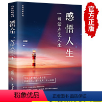 [正版]感悟人生书籍一句话点亮人生成长成功与励志书籍越慢越美越静越暖阳光心态可以打败失败的心理学枕边小品你的人生解答书