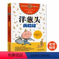 [正版] 罗大里儿童文学全集 国际安徒生奖 洋葱头历险记 课外书阅读读物 儿童文学小说读物 小学生三年级四年级五年级六