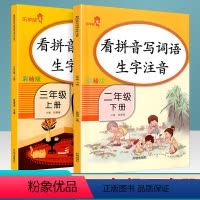 [正版]乐学熊 看拼音写词语生字注音 二年级下册+三年级上册 承上启下年级语文入门课堂训练作业本识字练字同步练习册拼音