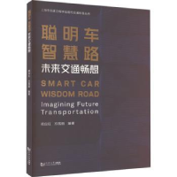 音像聪明车 智慧路——未来交通畅想蒋应红,方雪丽编著