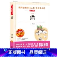 猫 [正版]8册老舍经典作品全集 骆驼祥子原着 茶馆四世同堂 猫草原北京的春节小学生读本三四五六年级课外阅读书籍散文集儿