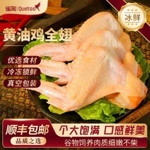 雀淘 黄油鸡全翅400g/袋 1袋装 整枝连翅未腌制原切可烤可卤可炸冷冻锁鲜家用方便