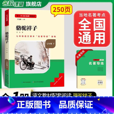 骆驼祥子-必读[全国版] [正版]名校课堂骆驼祥子和海底两万里原着必读老舍国一下册的课外书初一7下名著初中阅读书籍全套2