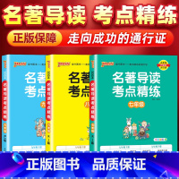 [7-9年级全套3册]名著导读考点精练 初中通用 [正版]2024名著导读考点精练初中经典常谈七八九年级必读名著导读与考
