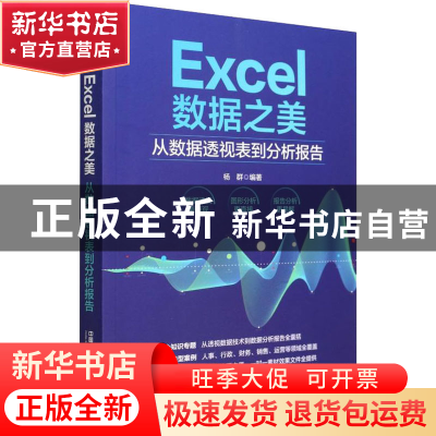 正版 Excel数据之美:从数据透视表到分析报告 杨群 中国铁道出版