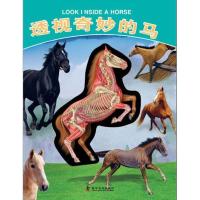 正版新书]透视奇妙的马[英]大卫·乔治·戈登9787110078235