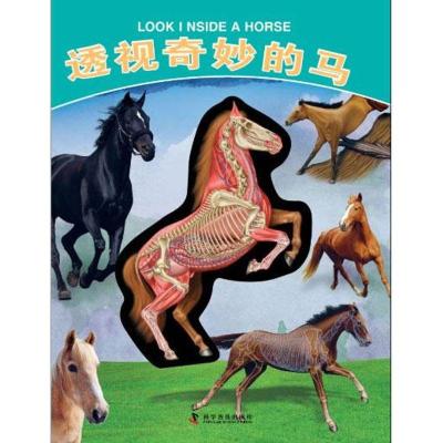 正版新书]透视奇妙的马[英]大卫·乔治·戈登9787110078235