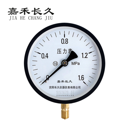 嘉禾长久/普通压力表/Y200/个