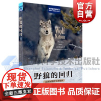 野狼的回归美国灰狼的生死轮回 科学新视角丛书美布伦达彼得森上海科学技术出版社动物学生态系统健康黄石公园行为生态学动物
