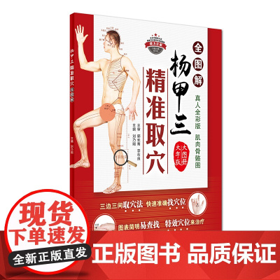 杨甲三精准取穴全图解(大字版) 刘乃刚 人民卫生出版社 正版书籍