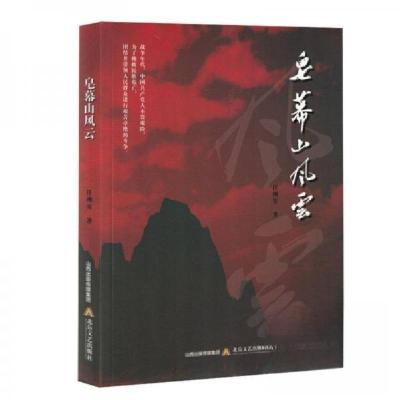 正版新书]皂幕山风云任洲安9787537868334