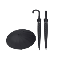 荣百汇 抗暴风雨专用双层自动长柄雨伞加大加厚加固晴雨两用 把