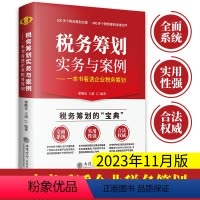[正版]2023新书 税务筹划实务与案例一本书看透企业税务筹划翟继光王珺立信会计出版社图书籍
