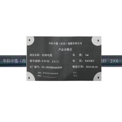 华科中缆 电线电缆 YJV22-2*16 米