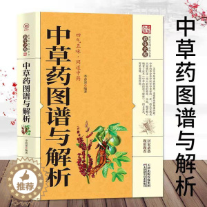 [醉染正版]中草药图谱与解析 养生大系 家庭实用百科全书中医养生保健家庭常见病的预防与治疗