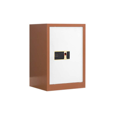 东升顺保密柜财务档案柜文件柜办公室资料储物柜保险柜电子密码国保锁单门咖白-指纹密码锁