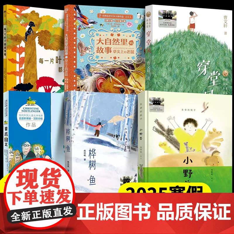 2025寒假百班千人3三年级小学生课外阅读书籍儿童文学桦树鱼每一片叶子都是馈赠小野兽穿堂风黄瓜国王草尖上的老鼠正版