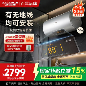 AO史密斯60升电热水器 无地线可安装 专利安全隔电 金圭内胆 速热节能 一键中温保温EVDS升级款60DX2