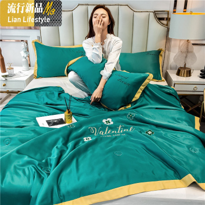 夏季空调被冰丝夏凉被芯单双人天丝夏被可水洗机洗春秋薄被子夏天 三维工匠