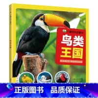 鸟类王国 [正版]神秘宇宙 宇宙百科全书 探索宇宙奥秘幼儿童绘本小学生太空百科全书关于宇宙星球的书揭秘星空天文学知识图书
