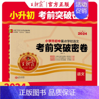 小升初考前突破[语文]全国通用 小学升初中 [正版]2024新 小升初真题卷 王朝霞试卷全套名校期末真题精编卷必刷题人教