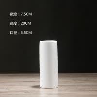 北欧创意哑光陶瓷花瓶白色简约家居装饰客厅摆件鲜花干花花器插花 三维工匠 白色直筒中号磨砂高25.5CM