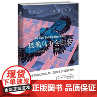 玻璃鸟不会归来 市川忧人 新星出版社 正版书籍