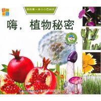 正版新书]我的第一本小小百科书--嗨植物秘密书香童年9787539536
