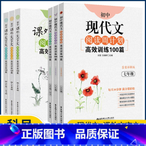 现代文阅读100篇 七年级/初中一年级 [正版]初中课外文言文现代文阅读周计划高效训练120篇七年级八年级九年级100篇