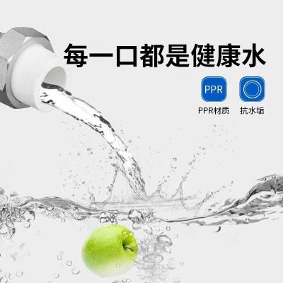 盛京联硕 PPR外螺纹活接PPR20 螺纹外径(4分) 个