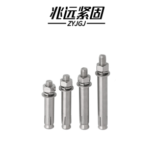 兆远紧固 不锈钢膨胀螺丝(个)(10*100)
