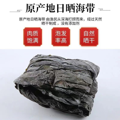 霞浦特产整条海带新货福建霞浦昆布日晒带头厚实商用散装煲汤干货批发