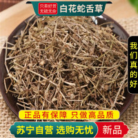 白花蛇舌草100克干货百花蛇舌草半枝莲铁树叶大枣泡水甄选白花蛇舌草