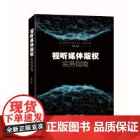 视听媒体版权实务指南 9787513059657 知识产权出版社