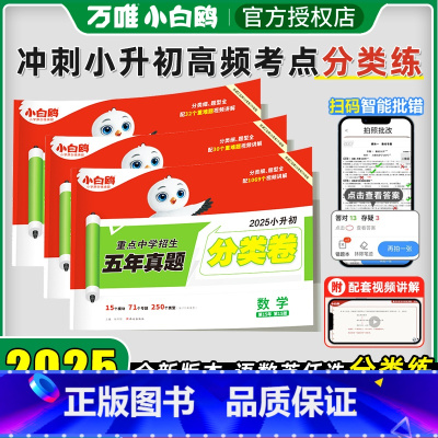 语数英⭐小升初真题分类卷[三本套装]] 小学升初中 [正版]2025新版万唯小升初真题分类卷语文数学英语小学专项训练分班