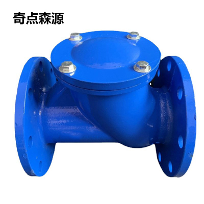 奇点森源 逆止阀 DN100 个